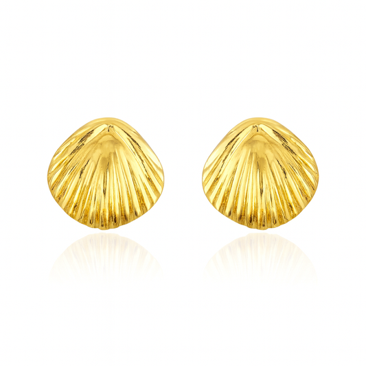 Classic Shell Studs Earrings