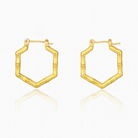 Golden Hexagon Hoops Earrings